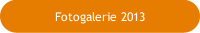 Fotogalerie 2013