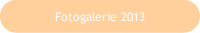 Fotogalerie 2013